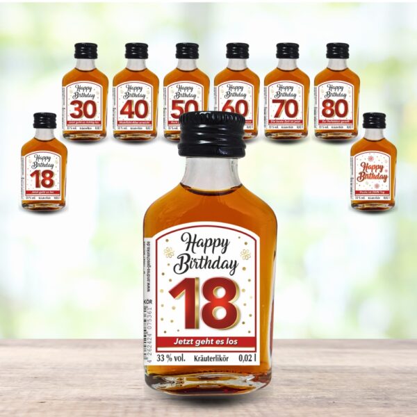 24er Box - Zum 18. Geburtstag, Jetzt gehts los - Kräuterlikör Happy Birthday Zahlengeschenk zum runden Geburtstag - Likör