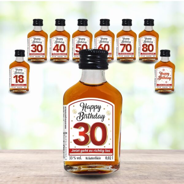 24er Box - Zum 30. Geburtstag, Jetzt gehts richtig los - Kräuterlikör Happy Birthday Zahlengeschenk zum runden Geburtstag - Likör