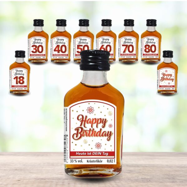 24er Box - Zum Geburtstag, Heute ist dein Tag - Kräuterlikör Happy Birthday Zahlengeschenk zum runden Geburtstag - Likör
