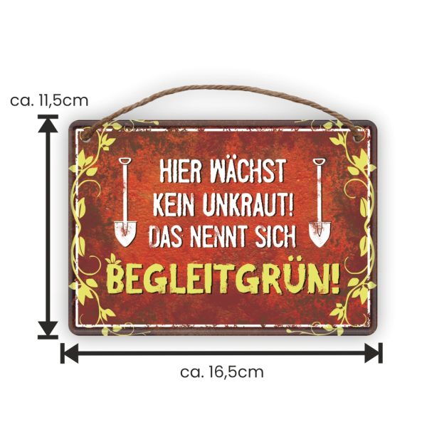 Hier wächst kein Unkraut das nennt man Begleitgrün - Metallschild Blechschild Schild Türschild mit Kordel Seil zum Anhängen Männergeschenk AV Andrea Verlag andrea-geschenke.de - Maße