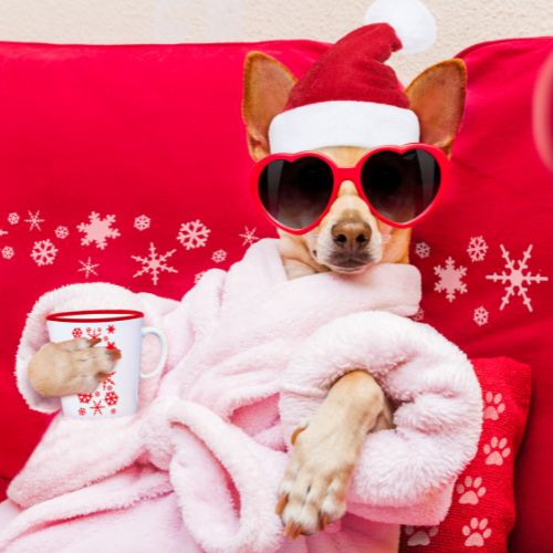 Bannerbild "Wir sind in den Ferien" Weihnachten